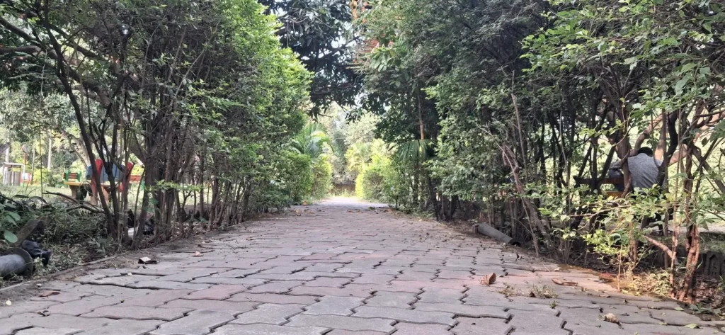 Jhumri Telaiya Childern Park – Telaiya Park (13)