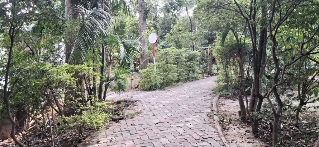 Jhumri Telaiya Childern Park – Telaiya Park (15)