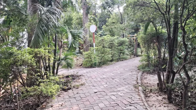 Jhumri Telaiya Childern Park – Telaiya Park (15)