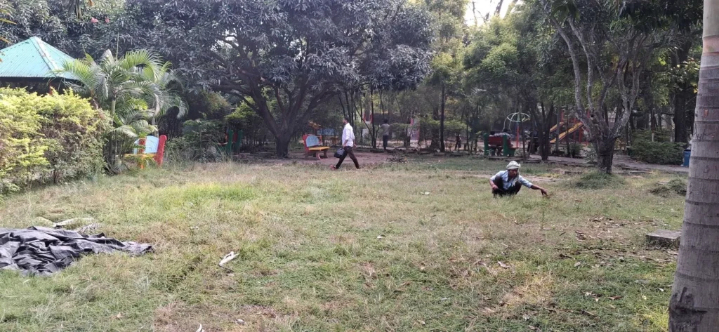 Jhumri Telaiya Childern Park – Telaiya Park (18)