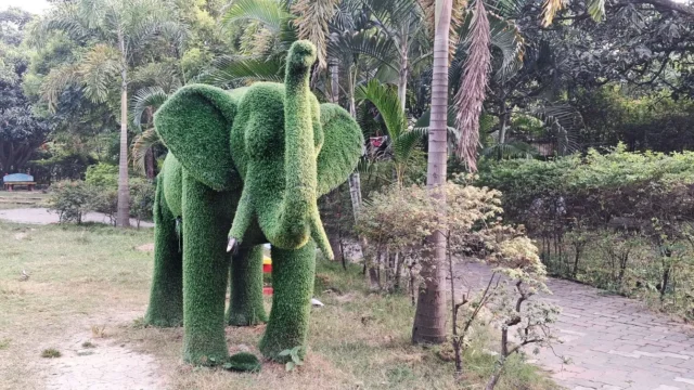 Jhumri Telaiya Childern Park – Telaiya Park (8)