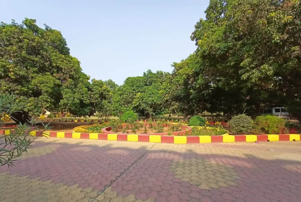 St. Clare’s School Lokai Koderma (7)