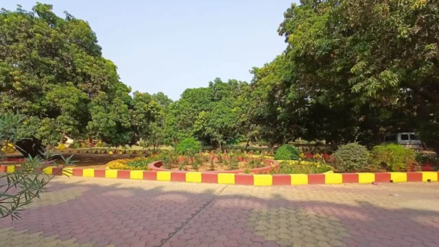 St. Clare’s School Lokai Koderma (7)